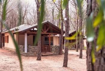 Villaggio Camping Pinetamare Pizzo  Eksteriør bilde